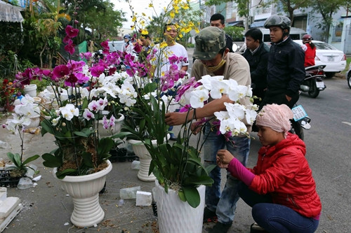 Không khí Tết đã rộn ràng khăp các làng quê, phố phưởng Ảnh- TTXVN Không khí Tết đã rộn ràng khăp các làng quê, phố phưởng Ảnh- TTXVN