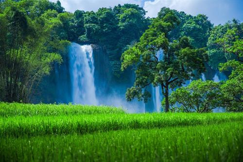 Thác Bản Giốc đẹp như một bức tranh. Ảnh: Trọng Đạt - TTXVN Thác Bản Giốc đẹp như một bức tranh. Ảnh: Trọng Đạt - TTXVN