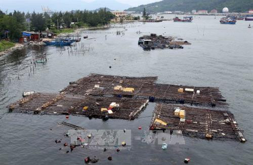 Bè nuôi thủy sản của người dân Đà Nẵng tại vịnh Mân Quang. Ảnh: Trần Lê Lâm - TTXVN Bè nuôi thủy sản của người dân Đà Nẵng tại vịnh Mân Quang. Ảnh: Trần Lê Lâm - TTXVN