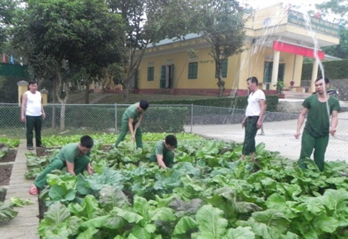 Chăm sóc vườn rau xanh của đơn vị. Chăm sóc vườn rau xanh của đơn vị.