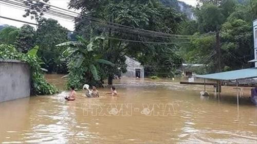 Nhiều khu dân cư ở huyện Trùng Khánh ngập sâu trong nước. Ảnh: TTXVN phát Nhiều khu dân cư ở huyện Trùng Khánh ngập sâu trong nước. Ảnh: TTXVN phát