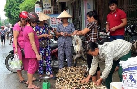 Bà con chọn mua những con vịt ngon làm quà biếu bố mẹ và làm mâm cỗ cúng trong ngày Rằm tháng Bảy