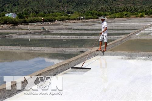 Diêm dân xã Xuân Phương sản xuất muối. Ảnh: Thế Lập – TTXVN Diêm dân xã Xuân Phương sản xuất muối. Ảnh: Thế Lập – TTXVN