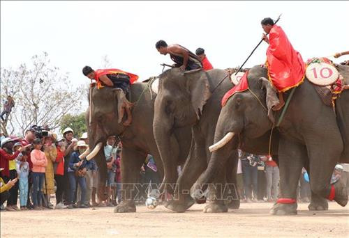 Pha tranh chấp bóng trong phần thi voi đá bóng. Ảnh: Tuấn Anh - TTXVN Pha tranh chấp bóng trong phần thi voi đá bóng. Ảnh: Tuấn Anh - TTXVN Pha khống chế bóng tốt của “vận động viên voi” trong phần thi voi đá bóng. Ảnh: Tuấn Anh - TTXVN Phần thi voi chạy đua tại Hội voi. Ảnh: Tuấn Anh - TTXVN Voi tăng tốc cán đích. Ảnh: Tuấn Anh - TTXVN Voi tăng tốc cán đích. Ảnh: Tuấn Anh - TTXVN Voi tăng tốc cán đích. Ảnh: Tuấn Anh - TTXVN Voi dự tiệc “bufet” sau phần thi chạy đua. Ảnh: Tuấn Anh - TTXVN Pha tranh chấp bóng trong phần thi voi đá bóng. Ảnh: Tuấn Anh - TTXVN Pha tranh chấp bóng trong phần thi voi đá bóng. Ảnh: Tuấn Anh - TTXVN Pha khống chế bóng tốt của “vận động viên voi” trong phần thi voi đá bóng. Ảnh: Tuấn Anh - TTXVN Phần thi voi chạy đua tại Hội voi. Ảnh: Tuấn Anh - TTXVN Voi tăng tốc cán đích. Ảnh: Tuấn Anh - TTXVN Voi tăng tốc cán đích. Ảnh: Tuấn Anh - TTXVN Voi tăng tốc cán đích. Ảnh: Tuấn Anh - TTXVN Voi dự tiệc “bufet” sau phần thi chạy đua. Ảnh: Tuấn Anh - TTXVN
