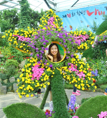 Lễ hội bướm Hampyeong thu hút du khách nhí ảnh 8