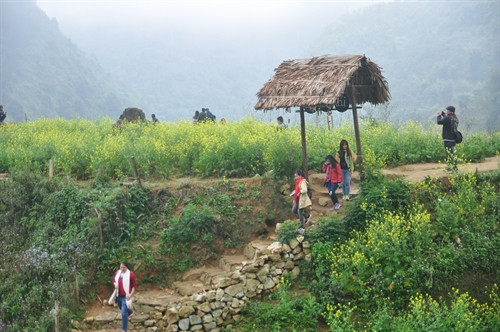 Ảnh minh họa- TTXVN Ảnh minh họa- TTXVN