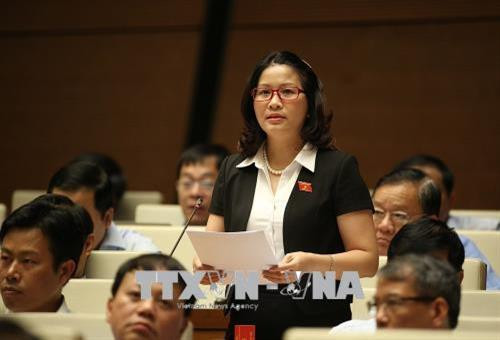 Đại biểu Quốc hội Thành phố Hà Nội Nguyễn Thị Lan phát biểu. Ảnh: Dương Giang - TTXVN