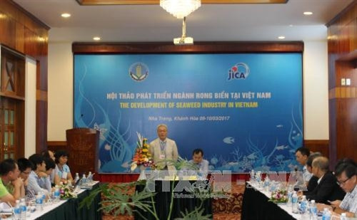 Đại biểu quốc tế phát biểu tại hội thảo về phát triển bền vững nghề nuôi trồng rong biển tổ chức tại thành phố Nha Trang (Khánh Hòa) ngày 9/3,. Ảnh: Nguyên Lý-TTXVN