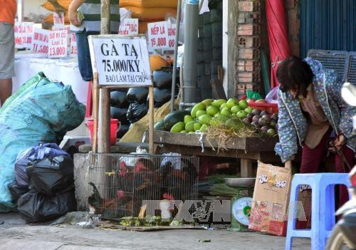 Gia cầm được bán tràn lan tại Chợ, Quận 9, Thành phố Hồ Chí Minh. Ảnh: Phương Vy-TTXVN.
