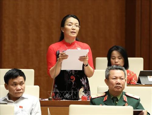 Đại biểu Quốc hội tỉnh Nghệ An Hoàng Thị Thu Trang phát biểu. Ảnh: Văn điệp – TTXVN Đại biểu Quốc hội tỉnh Nghệ An Hoàng Thị Thu Trang phát biểu. Ảnh: Văn điệp – TTXVN