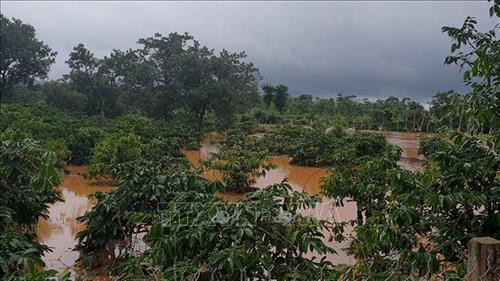 Mưa lũ gây ngập hàng trăm hecta cây trồng của người dân tỉnh Đắk Nông. Ảnh: Hưng Thịnh – TTXVN Mưa lũ gây ngập hàng trăm hecta cây trồng của người dân tỉnh Đắk Nông. Ảnh: Hưng Thịnh – TTXVN
