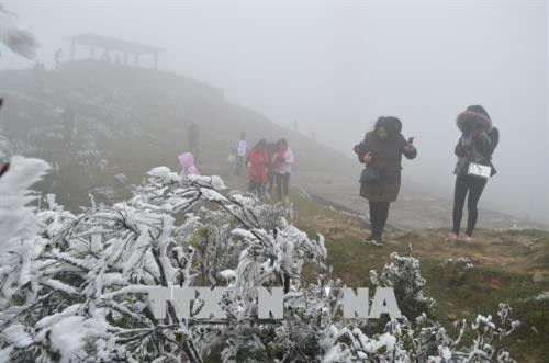Đông đảo người dân và du khách kéo lên Khu du lịch Mẫu Sơn xem băng tuyết. Ảnh: Hoàng Nam -TTXVN