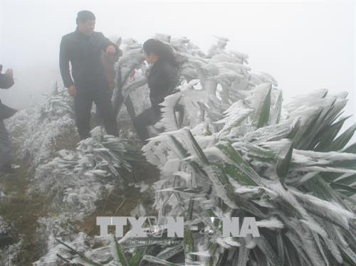 Du khách lên Khu du lịch Mẫu Sơn ngắm băng tuyết. Ảnh: Hoàng Nam -TTXVN