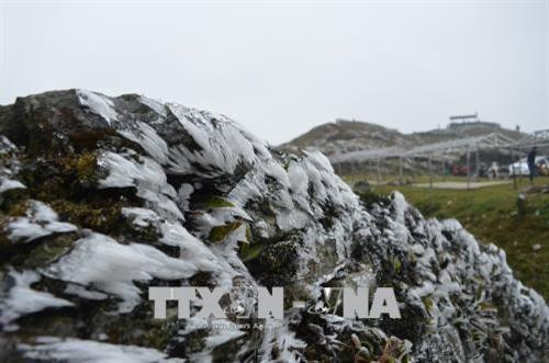 Băng tuyết đóng dày đặc trên đỉnh Mẫu Sơn. Ảnh: Hoàng Nam-TTXVN