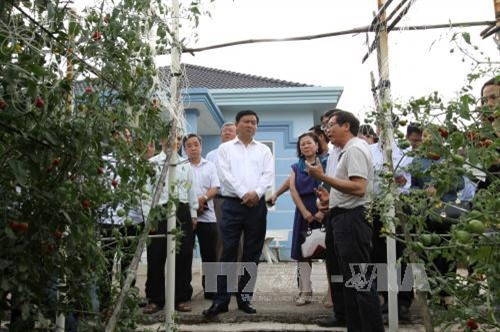 Bí thư Thành ủy Đinh La Thăng thị sát tại Trại nghiên cứu giống rau Chánh Phong trong Khu Nông nghiệp Công nghệ cao Thành phố Hồ Chí Minh. Ảnh: Thanh Vũ – TTXVN