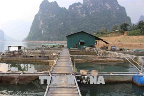 Hiệu quả mô hình nuôi cá lồng vùng lòng hồ thủy điện ở Lai Châu. Ảnh: Công Tuyên – TTXVN Hiệu quả mô hình nuôi cá lồng vùng lòng hồ thủy điện ở Lai Châu. Ảnh: Công Tuyên – TTXVN