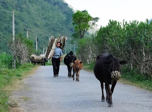 Phụ nữ dân tộc Nùng vùng Lục Khu mặc trang phục truyền thống trong đời sống sinh hoạt hằng ngày.