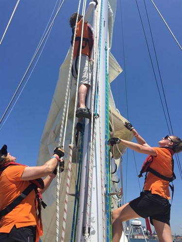 Trải nghiệm đi thuyền buồm Clipper trên vịnh Sydney ảnh 11