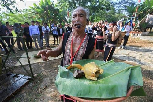 Già làng chuẩn bị lễ vật cho buổi lễ mừng lúa mới. Ảnh: Trọng Đạt - TTXVN
