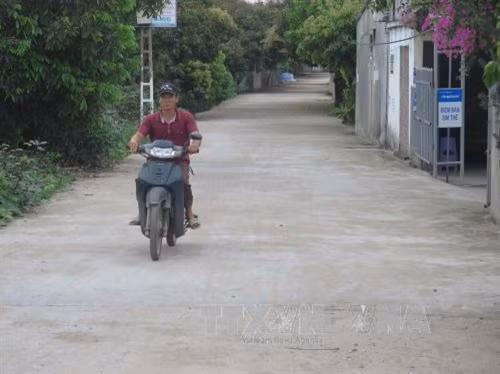 Đường liên thôn ở xã Thanh Bính. Ảnh: Mạnh Minh - TTXVN