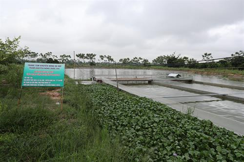 Nuôi cá áp dụng công nghệ “sông trong ao” là mô hình được Trung tâm Khuyến nông Hà Nội triển khai trên địa bàn thành phố Hà Nội từ tháng 4 đến tháng 11/2018.