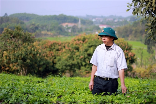 Ông Hà Đức Sản với một trong những mô hình kinh tế vườn của mình, hiện đang cho thu nhập ổn định