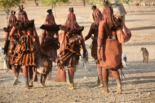 Người Himba ảnh 4