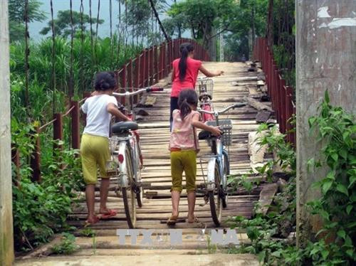 Các em học sinh và người dân trên địa bàn xã Chí Đạo phải lưu thông qua cây cầu xóm Hai Ót đã xuống cấp nghiêm trọng, những tấm ván gỗ và tre đã mục nát, gẫy rụng. Ảnh: Vũ Hà - TTXVN Các em học sinh và người dân trên địa bàn xã Chí Đạo phải lưu thông qua cây cầu xóm Hai Ót đã xuống cấp nghiêm trọng, những tấm ván gỗ và tre đã mục nát, gẫy rụng. Ảnh: Vũ Hà - TTXVN