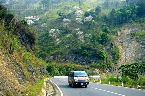 Thung lũng mây trên đỉnh đèo Pha Đin. Khung cảnh thanh bình trên cánh đồng Mường Thanh. Ảnh: V.T.C Bản của người Khơ Mú (xã Keo Lôm, huyện Điện Biên Đông). Ảnh: V.T.C Một góc thị xã Mường Lay. Ảnh: V.T.C Thung lũng Nậm Cổ Hú (xã Thanh Nưa, huyện Điện Biên). Ảnh: V.T.C Mùa hoa ban nở. Ảnh: V.T.C Đây là loại hoa đặc trưng ở vùng Tây Bắc. Ảnh: V.T.C Hoa ban tràn ngập khắp bản làng Điện Biên. Ảnh: V.T.C Vẻ đẹp tinh khiết, mong manh của hoa ban làm say đắm lòng người. Ảnh: V.T.C Hoa ban ngợp trên phố. Ảnh: V.T.C Loài hoa trắng này gắn với câu chuyện về một tình yêu bất tử nơi núi rừng. Ảnh: V.T.C Thung lũng mây trên đỉnh đèo Pha Đin. Khung cảnh thanh bình trên cánh đồng Mường Thanh. Ảnh: V.T.C Bản của người Khơ Mú (xã Keo Lôm, huyện Điện Biên Đông). Ảnh: V.T.C Một góc thị xã Mường Lay. Ảnh: V.T.C Thung lũng Nậm Cổ Hú (xã Thanh Nưa, huyện Điện Biên). Ảnh: V.T.C Mùa hoa ban nở. Ảnh: V.T.C Đây là loại hoa đặc trưng ở vùng Tây Bắc. Ảnh: V.T.C Hoa ban tràn ngập khắp bản làng Điện Biên. Ảnh: V.T.C Vẻ đẹp tinh khiết, mong manh của hoa ban làm say đắm lòng người. Ảnh: V.T.C Hoa ban ngợp trên phố. Ảnh: V.T.C Loài hoa trắng này gắn với câu chuyện về một tình yêu bất tử nơi núi rừng. Ảnh: V.T.C