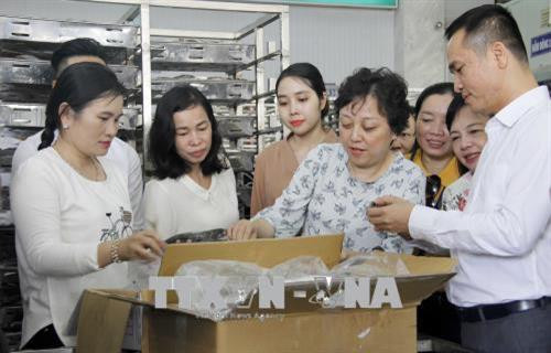 PGS.TS, Phạm Khánh Phong Lan, Trưởng Ban Quản lý An toàn thực phẩm Thành phố Hồ Chí Minh thẩm định chất lượng cá trước khi đưa vào chuỗi thực phẩm an toàn tại tỉnh Bình Thuận. Ảnh Đinh Hằng – TTXVN