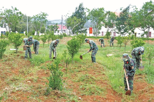 Cán bộ, chiến sĩ Học viện Lục quân Đà Lạt tham gia trồng cây góp phần bảo vệ môi trường