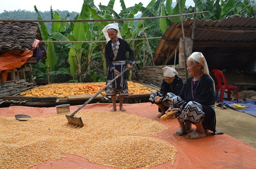 Trang phục truyền thống của phụ nữ dân tộc Dao Tiền . Trang phục truyền thống của phụ nữ dân tộc Dao Tiền .