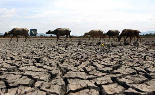 Hồ chứa nước ở xã Ia Phí, huyện Chư Păh (Gia Lai) đã cạn kiệt từ đầu mùa khô, lòng hồ nứt nẻ không còn nước tưới cho cây trồng và nước uống cho gia súc, người dân sống quanh khu vực gặp rất nhiều khó khăn. Ảnh: Dương Giang - TTXVN