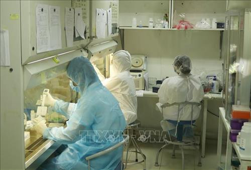 Nhân viên Viện Pasteur Thành phố Hồ Chí Minh miệt mài trong phòng xét nghiệm tìm virus SARS-CoV-2. Ảnh: Đinh Hằng – TTXVN Nhân viên Viện Pasteur Thành phố Hồ Chí Minh miệt mài trong phòng xét nghiệm tìm virus SARS-CoV-2. Ảnh: Đinh Hằng – TTXVN