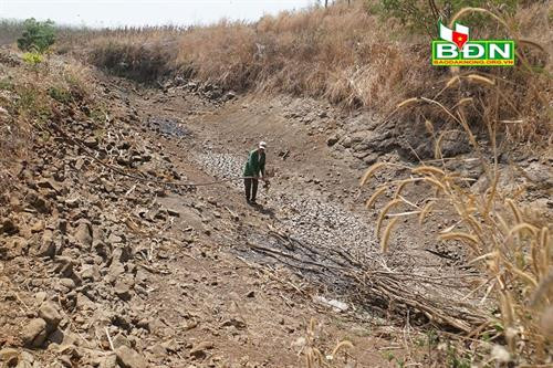 Hồ chứa nước của gia đình Trần Văn Huệ, thôn Đức Bình, xã Đức Mạnh, huyện Đăk Mil đã trơ đáy từ lâu. Ảnh: baodaknong.org.vn Hồ chứa nước của gia đình Trần Văn Huệ, thôn Đức Bình, xã Đức Mạnh, huyện Đăk Mil đã trơ đáy từ lâu. Ảnh: baodaknong.org.vn