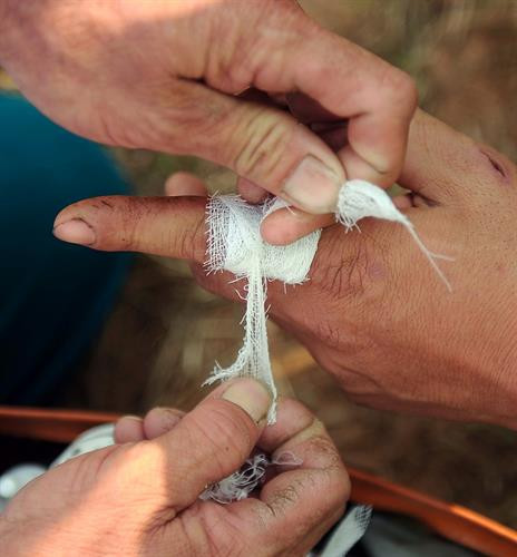 Kéo co ngồi là một trò trình diễn nghi lễ trong hội làng tại đền Quán Thánh, phường Thạch Bàn, quận Long Biên, thành phố Hà Nội Chạy thi lấy nước nấu cơm cùng với chạy cờ, kéo mỏ và vật thờ là 4 trò trình diễn luôn được thực hành mang tính nghi lễ trong hội đền Vua Bà ở Sóc Sơn. Một trận đấu kéo mỏ rất quyết liệt với sự chứng kiến của đông đảo khán giả Kéo song là món ăn tinh thần không thể thiếu của người dân 3 làng Hương Canh, Ngọc Canh và Tiên Canh tỉnh Vĩnh Phúc mỗi khi xuân về. Chân dung các song thủ trong một trận kéo song, họ luôn cống hiến hết sức vì màu cờ sắc áo. Các song thủ đứng hàng đầu ở các đội thường có sức khỏe rất tốt, đạp chân vào cột để giữ thăng bằng và để tăng thêm lực Sợi song bị ghìm, bị kéo qua kéo lại sát lỗ cột đến mức nóng bỏng bốc khói. Do bàn tay bàn chân luôn va chạm vào cột và sợi dây song nên thương tích là điều không tránh khỏi Trận đấu đầy kịch tính diễn ra tại huyện Bắc Hà tỉnh Lào Cai của 2 đội nữ người dân tộc Tày và dân tộc Dao. Các bé thiếu nhi luôn nhiệt tình và rất hứng khởi với trò chơi kéo co ở tỉnh Phú Thọ. Các đồng chí bộ đội tỉnh Đắk Lắk đang tung hết sức mình cùng với bà con trong trận chung kết kéo co Niềm vui của đội kéo co Mạn Đường khi chiến thắng