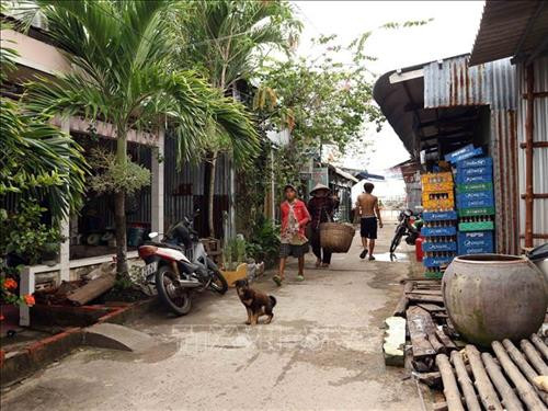 Việc nuôi và thả chó chạy rông ra đường phố tiềm ẩn nhiều nguy cơ về bệnh dại. Ảnh: Kim Há-TTXVN