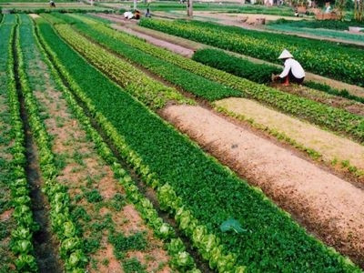 Ảnh minh họa Ảnh minh họa