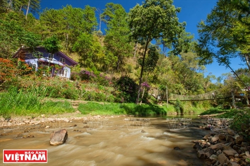 Huyền bí Ma Rừng lữ quán ảnh 10