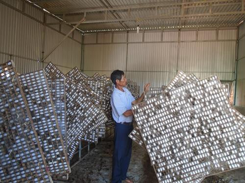 Kén tằm chuẩn bị thu hoạch từ tiểu dự án liên kết thị trường trồng dâu nuôi tằm tại Bon B'Srê B, xã Đăk Som (Đăk Nông). Ảnh: daknong.gov.vn Kén tằm chuẩn bị thu hoạch từ tiểu dự án liên kết thị trường trồng dâu nuôi tằm tại Bon B'Srê B, xã Đăk Som (Đăk Nông). Ảnh: daknong.gov.vn