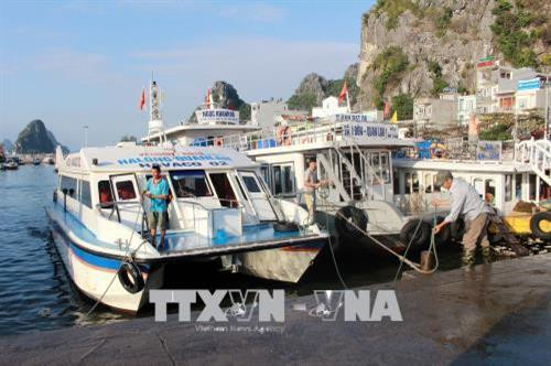 Việc hạn chế số lượng chuyến tàu ra đảo nhằm giảm tải lượng khách trên đảo, giảm áp lực về điện, nước do sự cố mất điện gây ra. Ảnh: Văn Đức - TTXVN Việc hạn chế số lượng chuyến tàu ra đảo nhằm giảm tải lượng khách trên đảo, giảm áp lực về điện, nước do sự cố mất điện gây ra. Ảnh: Văn Đức - TTXVN