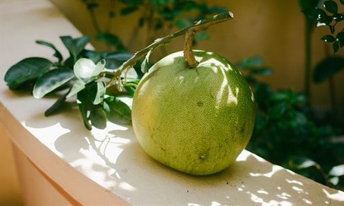 Đặc sản mùa thu Hà Nội khiến người đi xa nhớ nao lòng ảnh 3