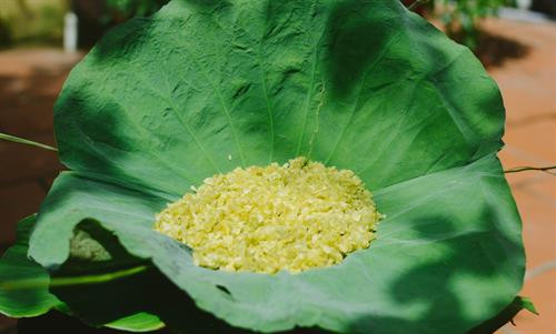 Đặc sản mùa thu Hà Nội khiến người đi xa nhớ nao lòng ảnh 1