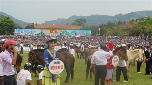Đua ngựa thồ trên cao nguyên trắng ảnh 3