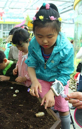 Lễ hội bướm Hampyeong thu hút du khách nhí ảnh 3