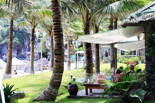 Khu nghỉ dưỡng gần biển với nhiều cây tạo nên một không gian xanh cho du khách. Ảnh: Trần Thanh Giang