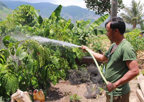 Có điện, người dân xã căn cứ cách mạng Yang Mao, huyện Krông Bông thuận tiện hơn trong việc trồng và chăm sóc cây trồng, vật nuôi. Có điện, người dân xã căn cứ cách mạng Yang Mao, huyện Krông Bông thuận tiện hơn trong việc trồng và chăm sóc cây trồng, vật nuôi.