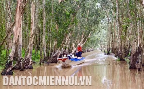Rừng tràm Trà Sư là điểm du lịch sinh thái nổi tiếng của tỉnh An Giang. Ảnh: Thanh Sang
