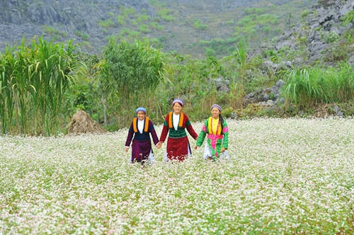 Người Mông ưa chuộng vải lanh, bởi nó có độ bền chắc, thông thoáng và không bị mốc.