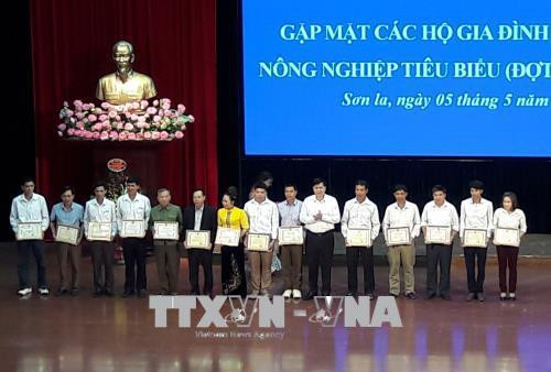Các hộ gia đình sản xuất nông nghiệp tiêu biểu nhận Giấy chứng nhận của Chủ tịch UBND tỉnh Sơn La. Ảnh: Nguyễn Cường - TTXVN. Các hộ gia đình sản xuất nông nghiệp tiêu biểu nhận Giấy chứng nhận của Chủ tịch UBND tỉnh Sơn La. Ảnh: Nguyễn Cường - TTXVN.